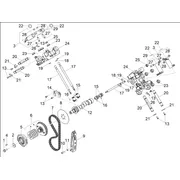 Distribution