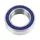 SUSPENSION PIVOT BEARING BLACKBEARING MAX 20X32-10 mm (63804 2RS)