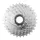 CASSETTE 12V. CAMPAGNOLO CHORUS 11-32 (11-12-13-14-15-16-17-19-22-25-28-32)