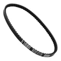 DRIVE BELT MOPED ATHENA FOR MBK 51 (AV10) (PLATINIUM) (808 X 14,30 X 8 X 28-)