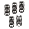 RESSORT EMBRAYAGE 50 A BOITE MALOSSI POUR DERBI 50 SENDA, GPR/GILERA 50 SMT, RCR (RENFORCE) (x5)