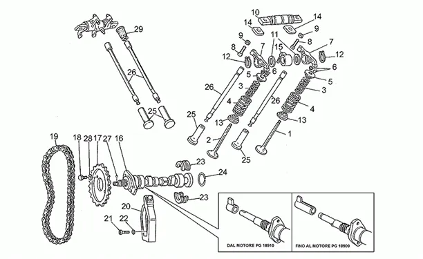 Distribution