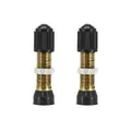 TUBELESS VALVE SCHRADER SILVER 44 mm VALVE CORE REMOVABLE (SOLD AS A PAIR CARDED)