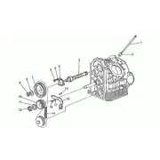 Distribution II