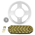 ADAPTABLE CHAIN KIT BETA 125 RR LC 2010>2020, RR ENDURO 2011>2020 428 14X63 (DIAMETER REAR SPROCKET 100/120/8.5/16) (OEM GEARING) -AFAM