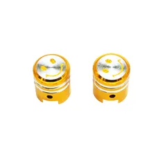 CAP OF VALVE SCOOTER/MOPED REPLAY VS PISTON OR (PAIR)