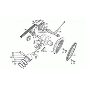 Arbre moteur