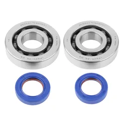 ADAPTABLE CRANKSHAFT BEARING + GASKET SCOOTER POLINI FOR RACE PIAGGIO 50 ZIP 2-STROKE, TYPHOON, NRG/GILERA 50 STALKER, RUNNER (KIT 282.0001)