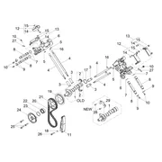 Distribution