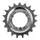 PIGNON NEXUS SHIMANO 19D. (MONTAGE ATELIER)