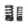 KIT SPRING VALVE INTAKE OEM PIAGGIO APRILIA 1000-1100 RSV-4 2017 >-1A008432
