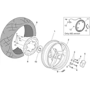 Roue arrière