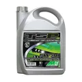 HUILE MOTEUR 4 TEMPS MINERVA AUTO SYNTHESE TSP FPW03 5W30 (100% SYNTHESE POUR MOTEURS FAP DIESEL ET ESSENCE (1.2 PURETECH) ( 5L) (ACEA C3 - STELLANTIS FPW9.55535/03)