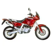 Pegaso 650