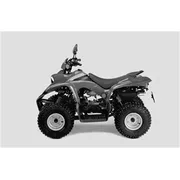 Quasar 50 2003
