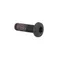 SCREW TORX (5X16) OEM PIAGGIO COMMON A LA RANGE-1A001073