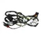 HARNESS ELECTRIC OEM DERBI 50 SENDA 2011 > 2017/GILERA 50 SMT, RCR 2011 > 2017-2D000281