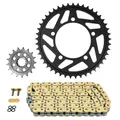 KIT CHAINE ADAPTABLE BMW 1000 S R 2013>2020, S 1000 RR 2014>2018 525 17x45 (DIAM COURONNE 110/131/12.2) (DEMULTIPLICATION ORIGINE) -AFAM