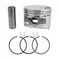 PISTON COMPLETE OEM PIAGGIO 125 FLY, LIBERTY, X8 STREET, VESPA LX/APRILIA 125 MOJITO, SPORT-CITY-8319740004