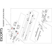 Fourche Escorts