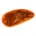 CLIGNOTANT SCOOT ADAPTABLE PIAGGIO 50 TYPHOON 1993>2003, NRG 1994>1998, NTT 1995>1999 ORANGE AR DROIT (HOMOLOGUE CE) -SELECTION P2R