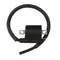 IGNITION COIL - HIGH TENSION "PIAGGIO GENUINE PART" APRILIA 50 RALLY, GULLIVER, SONIC, AMICO -AP8206125