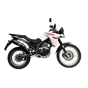 TERRA 125