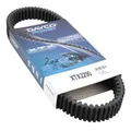 COURROIE QUAD ADAPTABLE CF MOTO 1000 CFORCE OVERLAND 2021>, 800 CFORCE XC 2018>2021, 1000 UFORCE 2019>2020, 1000 ZFORCE 2018>2019, 950 ZFORCE 2020>2021 (909 x 35,6) -DAYCO POWER