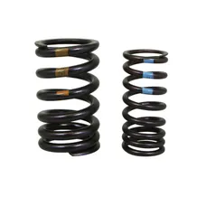 KIT SPRING VALVE INTAKE OEM PIAGGIO APRILIA 1000-1100 RSV-4 2017 >-1A008432