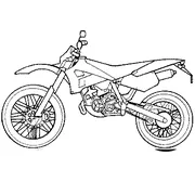 Surfer 50