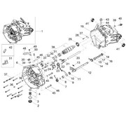Boîte de vitesses / Selecteur / Desmodromique