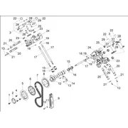 Distribution