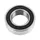 BEARING BLACKBEARING B3 17X31-10 mm (173110 2RS)