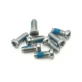 SCREW OF CRANKSET SRAM DIRECT MOUNT/AXS SPIDER TORX 8X20 MM (FOR INSTALLATION SPIDER OR CHAINRING DM ON CRANK ARM) (SET OF 8 PIECES)