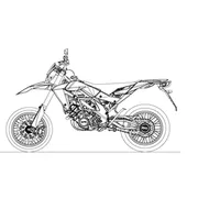 RXV 450 Pikes Peak 2009
