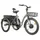 ELECTRIC TRICYCLE/E-BIKE CITY LEADER FOX 24" LOVELO 2025 UNISEX GREY MATTE 3-SPEED SHIMANO NEXUS HUB MOTOR AV BAFANG 36-SPEED 45NM BATTERY 16,7AH (WITH DIFFERENTIEL)