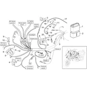 Circuit electrique AV