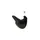 COVER FRONTAL OF LEVER SHIMANO 105 R7020 11-SPEED LEFT HYDRAULIC