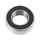 BEARING BLACKBEARING B3 16X31-10 mm (163110 2RS)