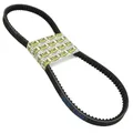 COURROIE CYCLO ADAPTABLE MBK/MOTOBECANE 50 CADY (762 x 13,5) -SELECTION P2R