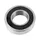 BEARING BLACKBEARING B3 21.5X31-7 mm (6004-2RS/21.5)
