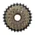 FREEWHEEL 8-SPEED P2R 13-28 BRONZE/BLACK