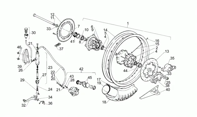 Roue arrière