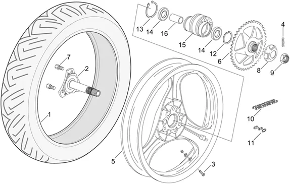 Roue arrière