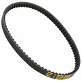 DRIVE BELT SCOOTER MALOSSI X SPECIAL BELT FOR PIAGGIO 50 TYPHOON 2000>2009, NRG 2000>/GILERA 50 STALKER, ICE, RUNNER/APRILIA 50 SR/DERBI 50 ATLANTIS, GP1 (810 X 18,7 X 8 X 30-) (6116889)