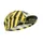 CYCLING CAP GIST STYLE RESPECT DECO BLACK/YELLOW -5951