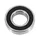 BEARING BLACKBEARING B5 QUALITE PREMIUM 12X24-6 mm (61901-2RS/6901-2RS)