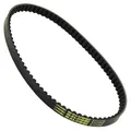 DRIVE BELT SCOOTER MALOSSI X SPECIAL BELT FOR HONDA 50 ZOOMER 4-STROKE, RUCKUS 4-STROKE (798 X 18 X 8 X 30-) (6117248)
