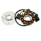 STATOR IGNITION OEM PIAGGIO 50 GILERA SMT, RCR 2018 >/DERBI SENDA 2018 >/APRILIA RS4, SX, RX 2018 >-1A008838
