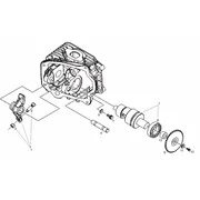 Culbuteur
